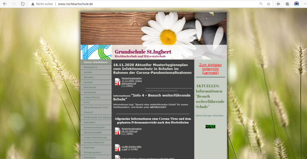 Alte Homepage